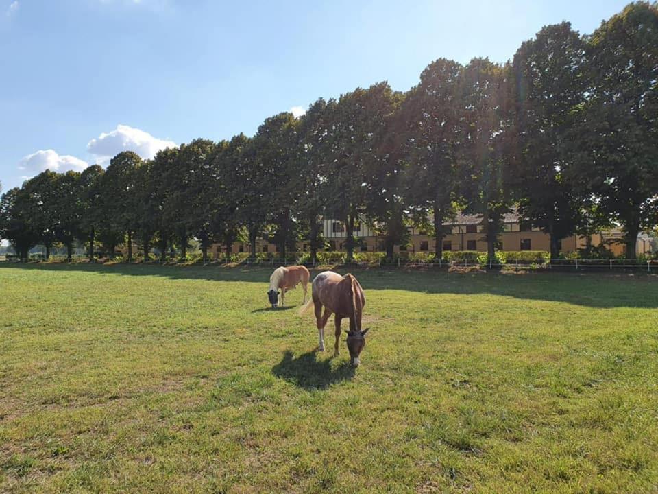 Tenuta 