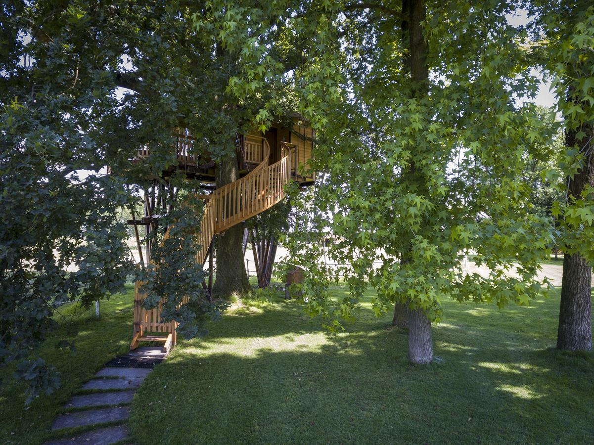 Vakantieboerderij Tenuta 