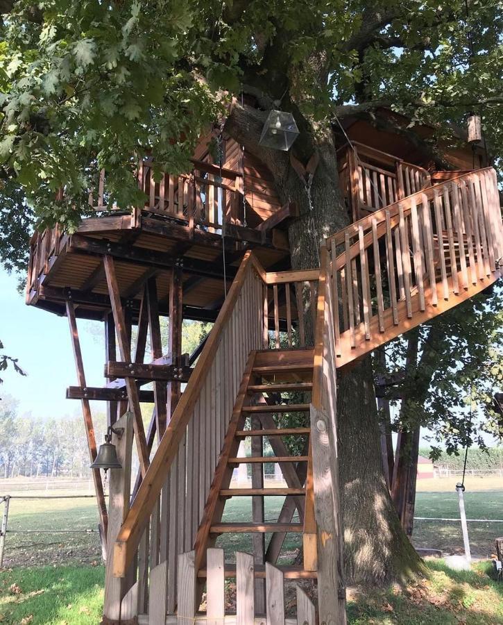 Tenuta 
